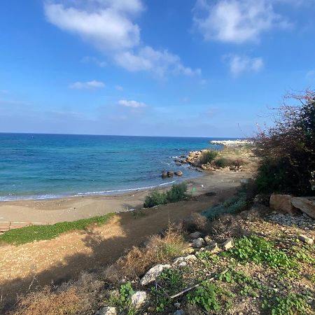 Olive Tree Villa - Protaras Buitenkant foto