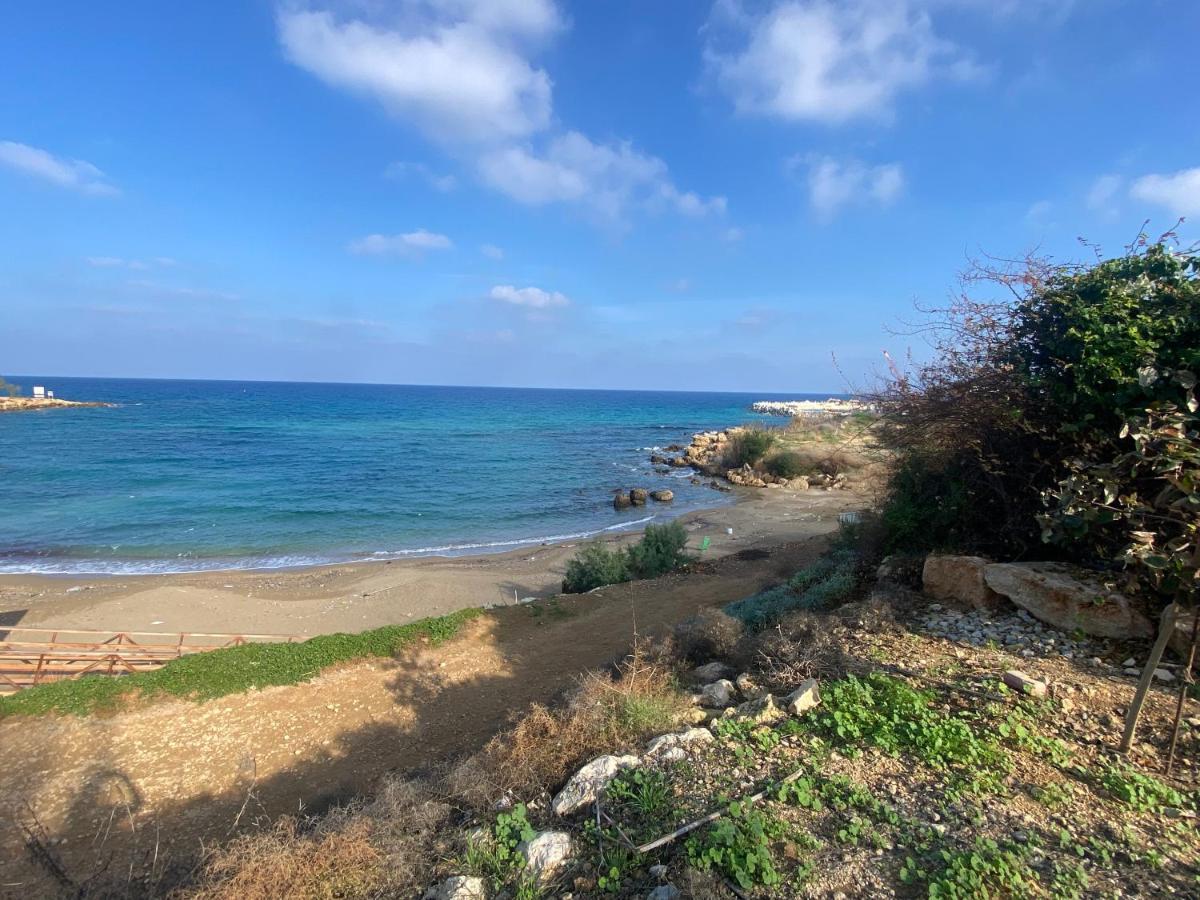 Olive Tree Villa - Protaras Buitenkant foto